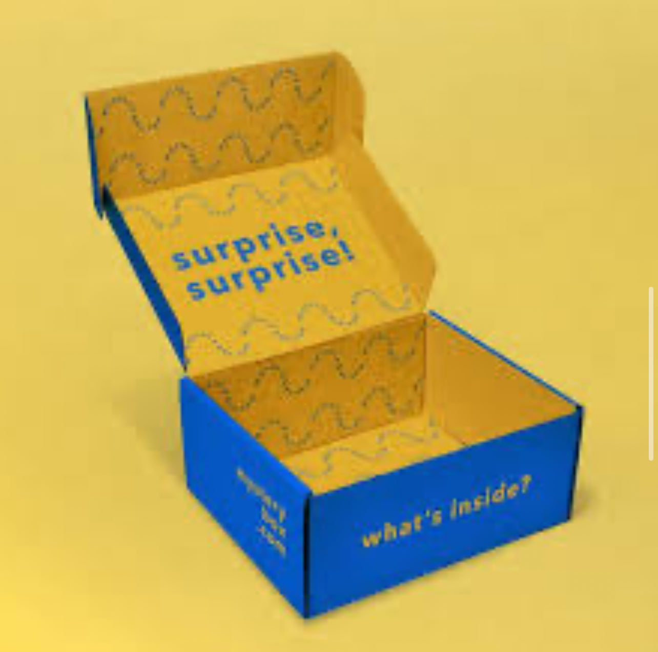 Handbag Subscription