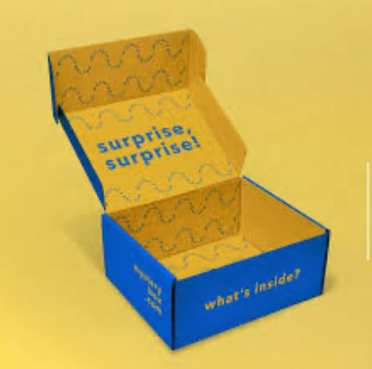 Handbag Subscription